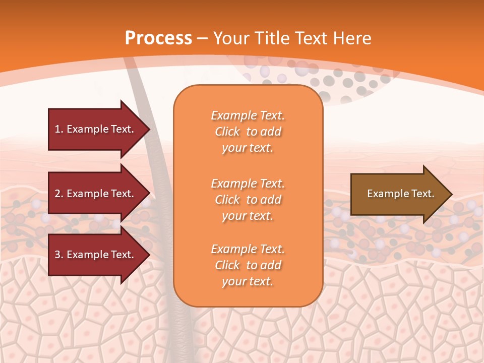 Blood Health Skin PowerPoint Template