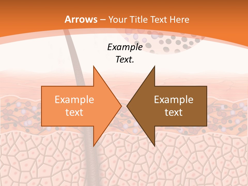 Blood Health Skin PowerPoint Template