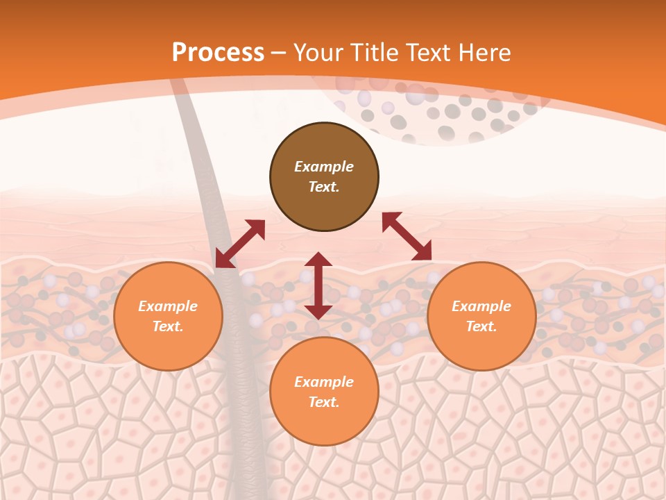 Blood Health Skin PowerPoint Template
