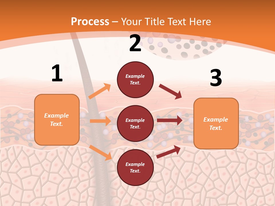 Blood Health Skin PowerPoint Template