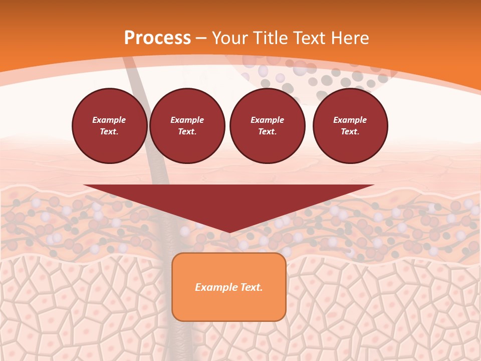 Blood Health Skin PowerPoint Template