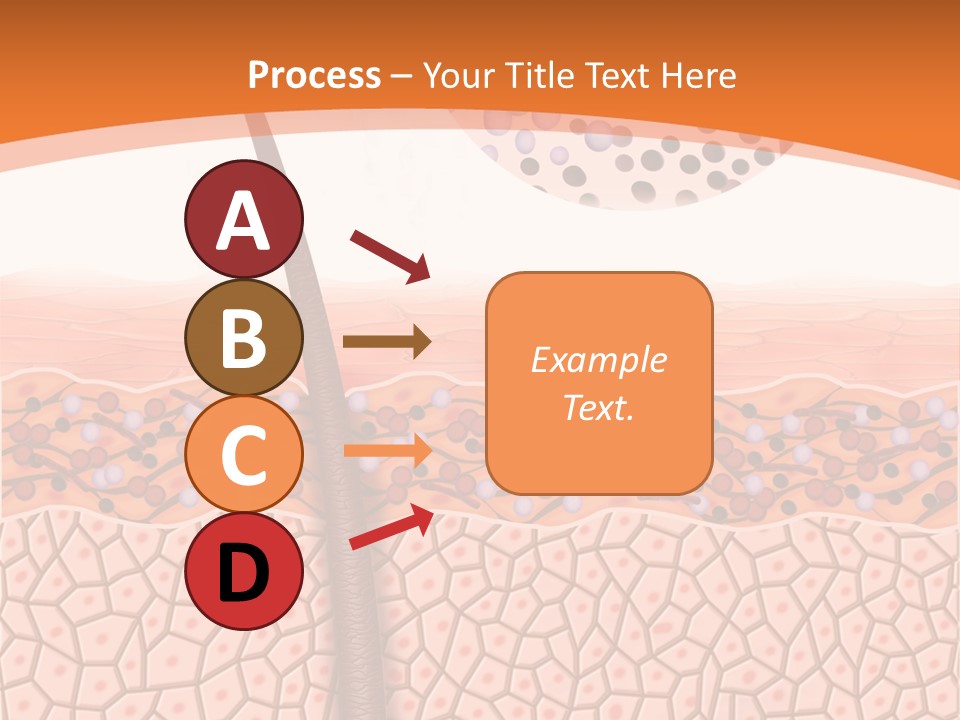Blood Health Skin PowerPoint Template