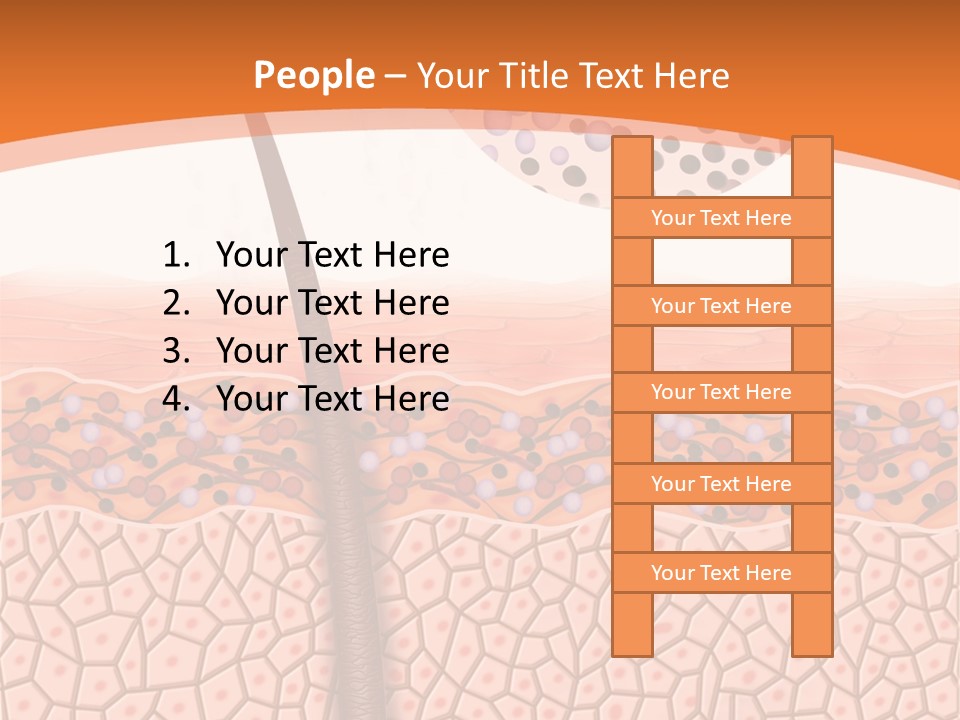 Blood Health Skin PowerPoint Template