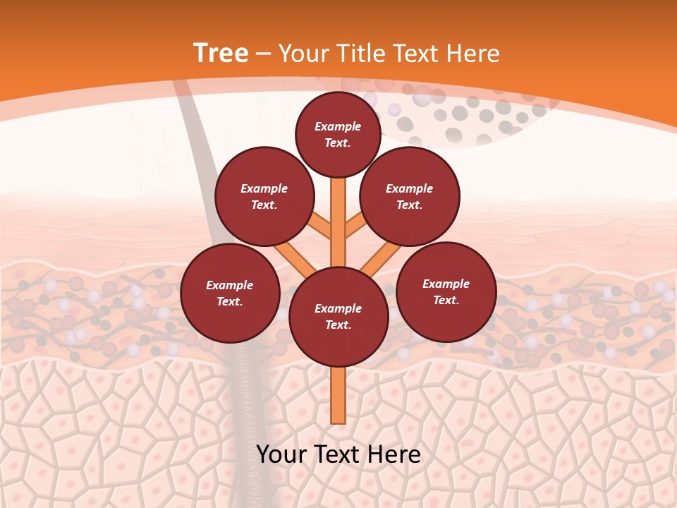 Blood Health Skin PowerPoint Template