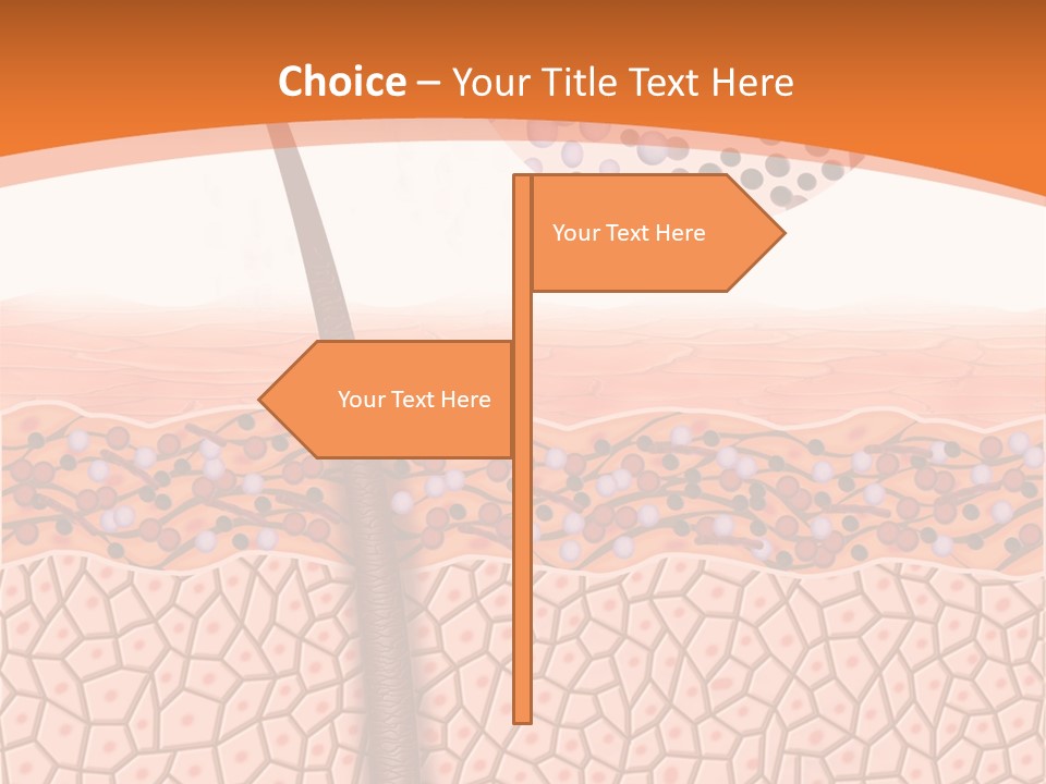 Blood Health Skin PowerPoint Template
