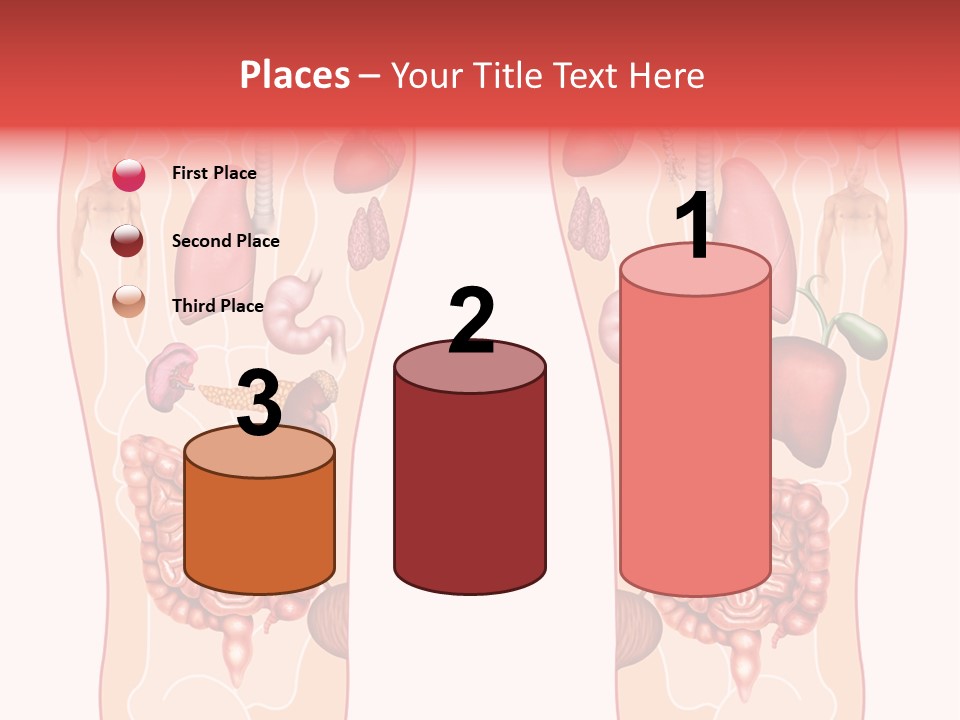 Glands Eye Intestine PowerPoint Template