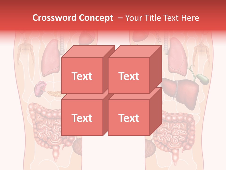 Glands Eye Intestine PowerPoint Template