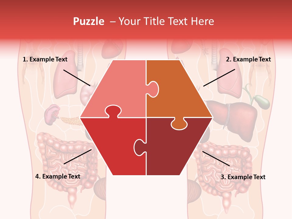 Glands Eye Intestine PowerPoint Template