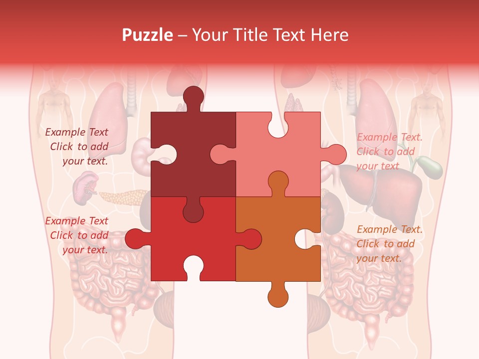 Glands Eye Intestine PowerPoint Template
