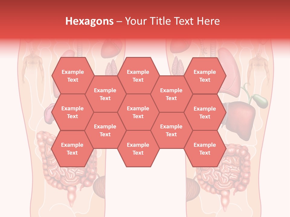 Glands Eye Intestine PowerPoint Template