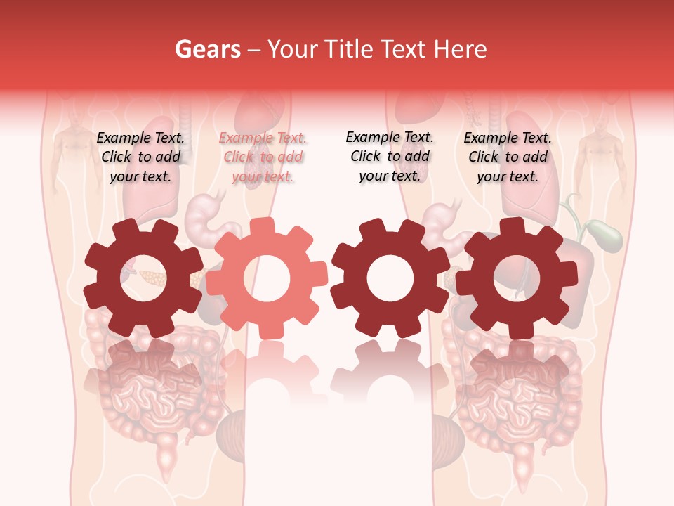 Glands Eye Intestine PowerPoint Template