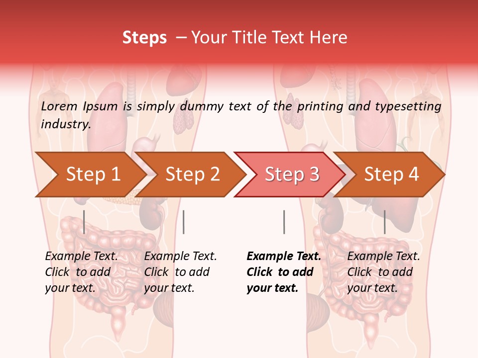 Glands Eye Intestine PowerPoint Template