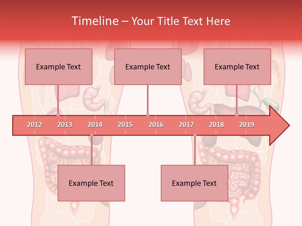 Glands Eye Intestine PowerPoint Template