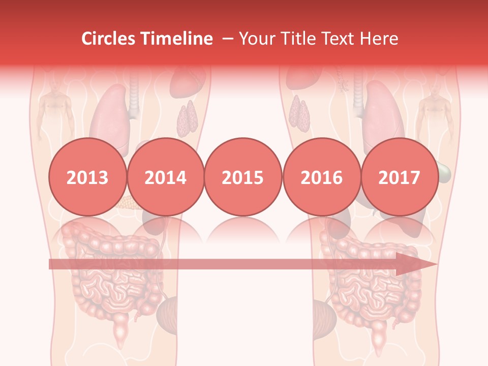 Glands Eye Intestine PowerPoint Template