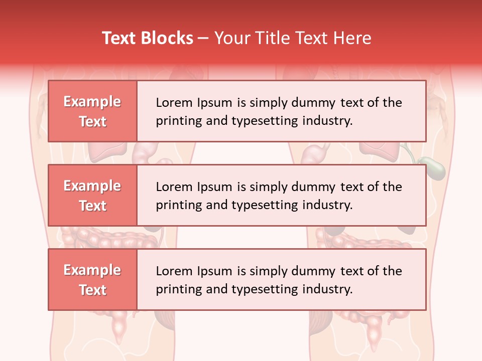 Glands Eye Intestine PowerPoint Template