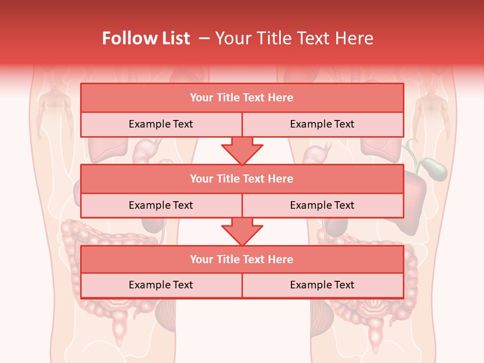 Glands Eye Intestine PowerPoint Template