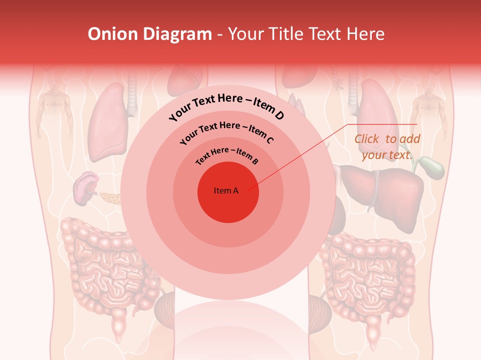 Glands Eye Intestine PowerPoint Template