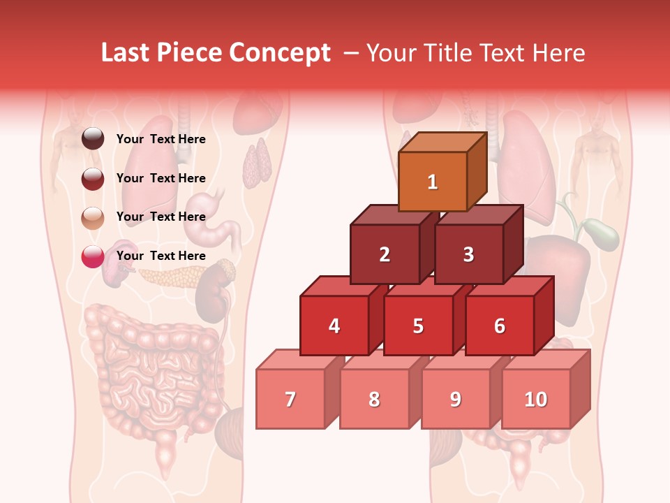 Glands Eye Intestine PowerPoint Template