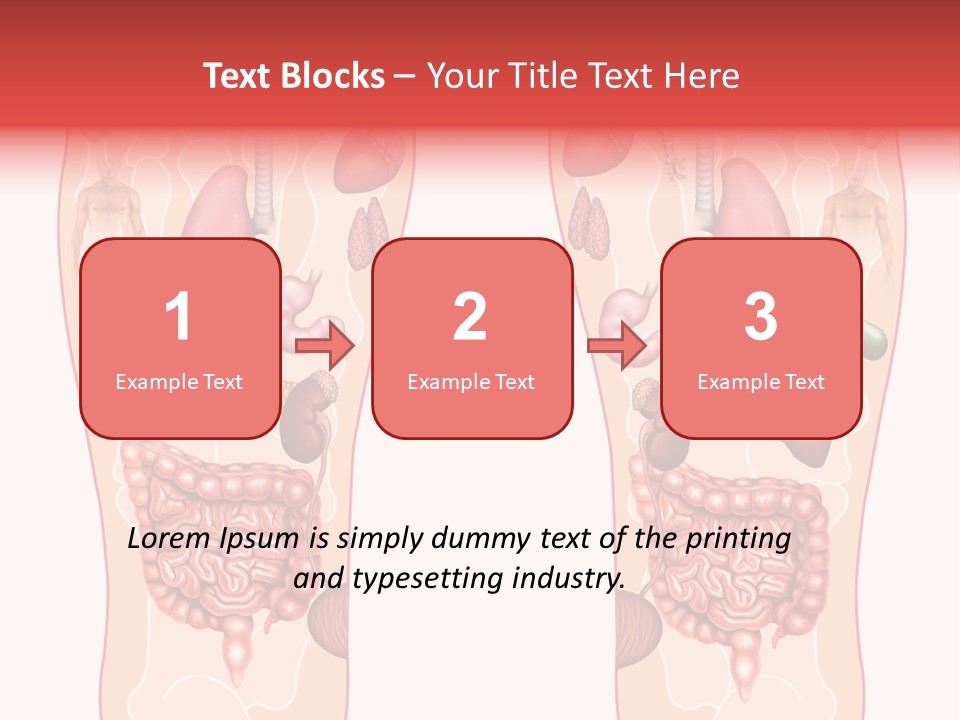 Glands Eye Intestine PowerPoint Template