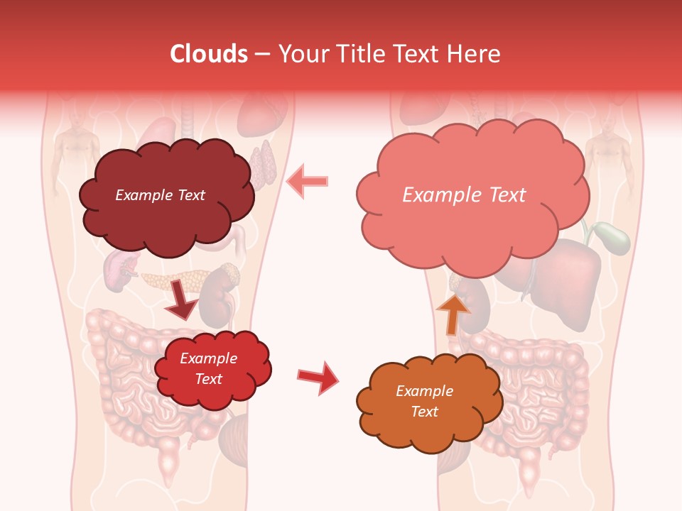 Glands Eye Intestine PowerPoint Template