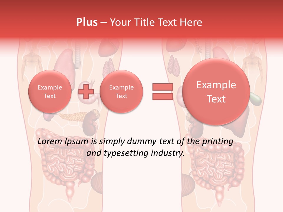 Glands Eye Intestine PowerPoint Template