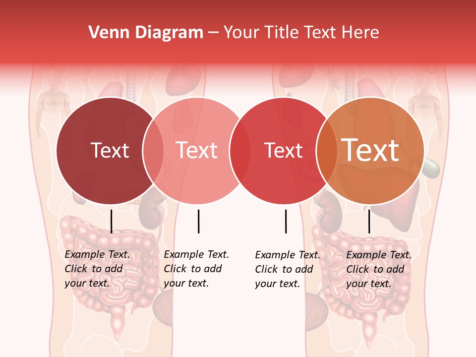 Glands Eye Intestine PowerPoint Template