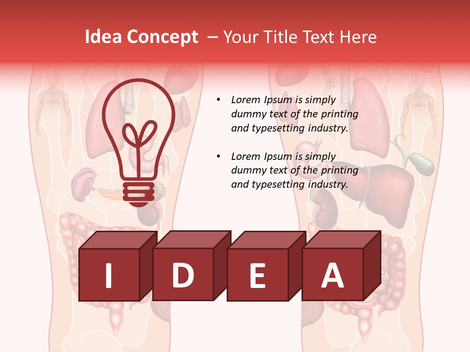 Glands Eye Intestine PowerPoint Template