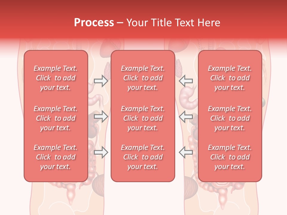 Glands Eye Intestine PowerPoint Template