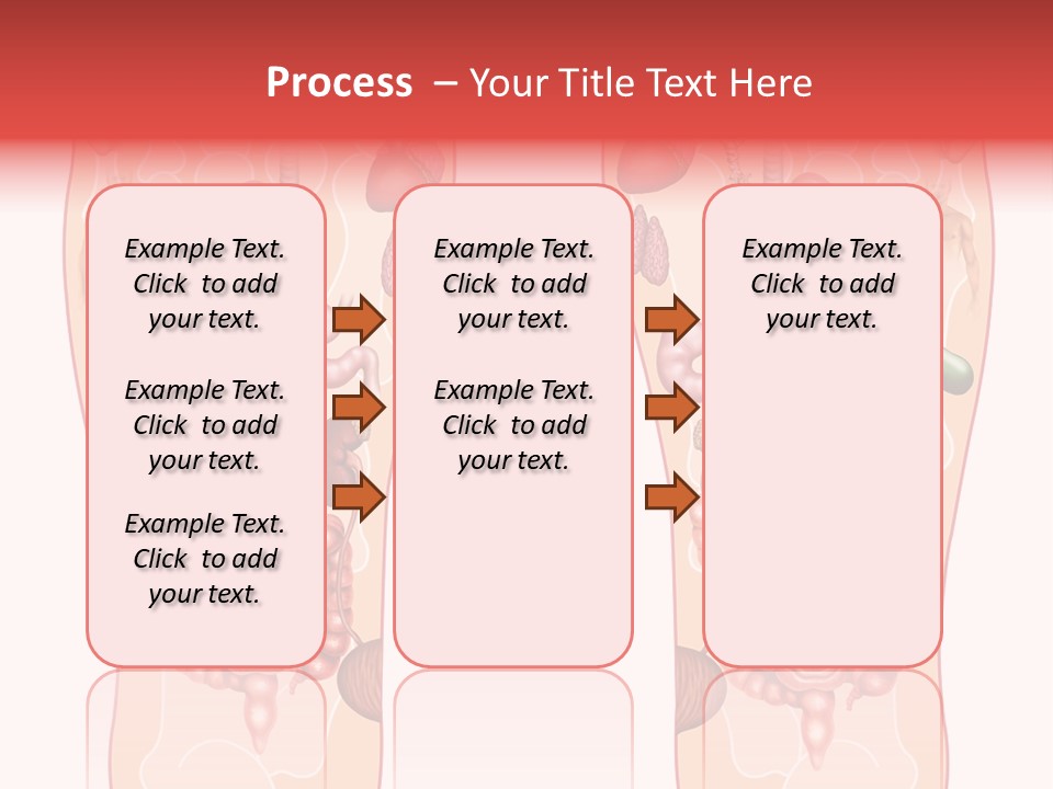Glands Eye Intestine PowerPoint Template