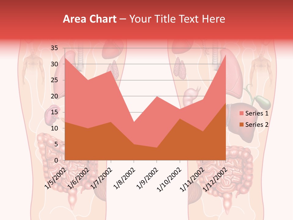 Glands Eye Intestine PowerPoint Template