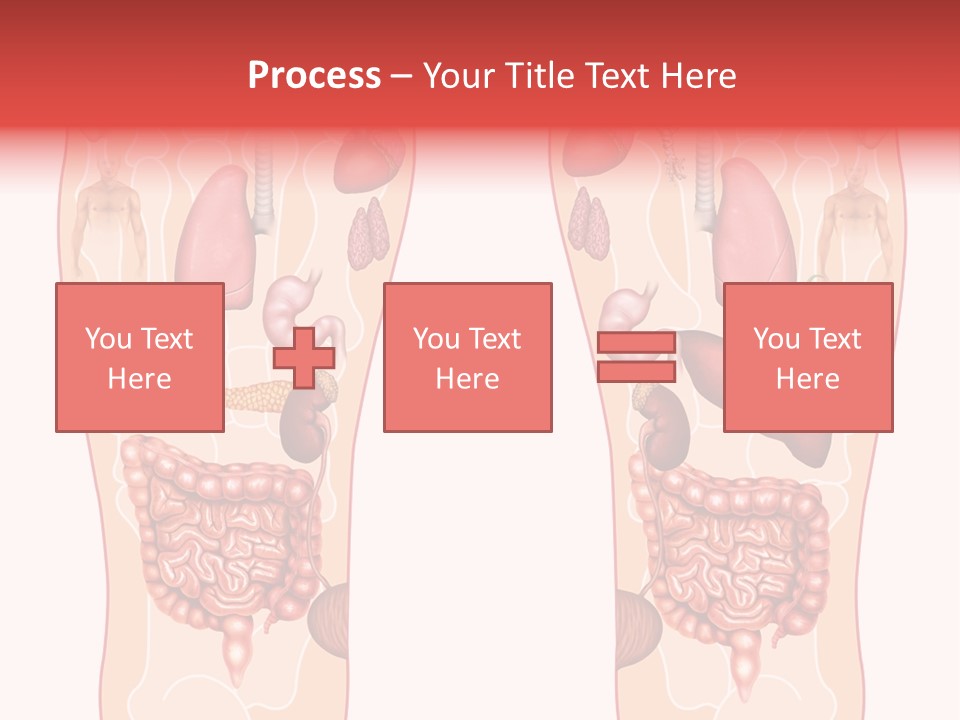 Glands Eye Intestine PowerPoint Template