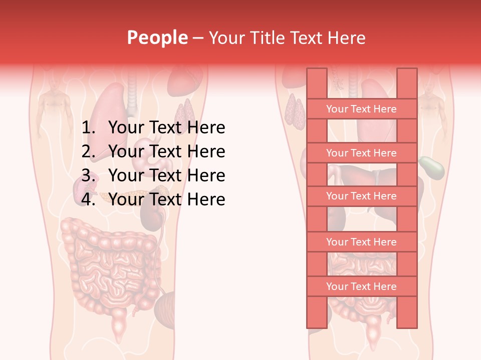 Glands Eye Intestine PowerPoint Template