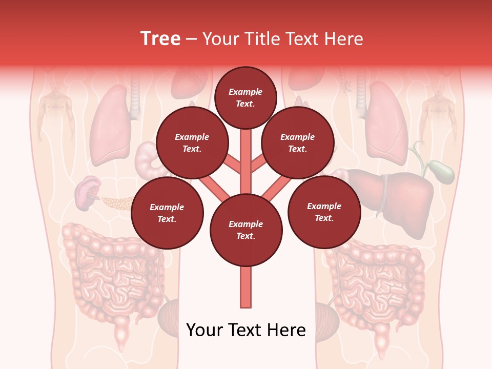 Glands Eye Intestine PowerPoint Template