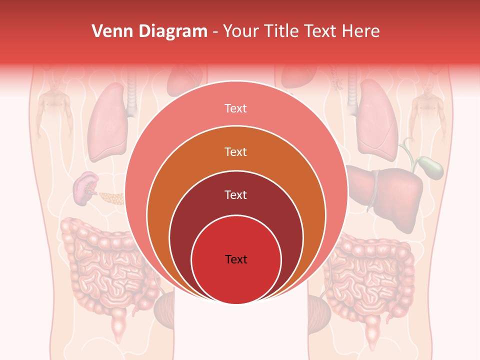 Glands Eye Intestine PowerPoint Template