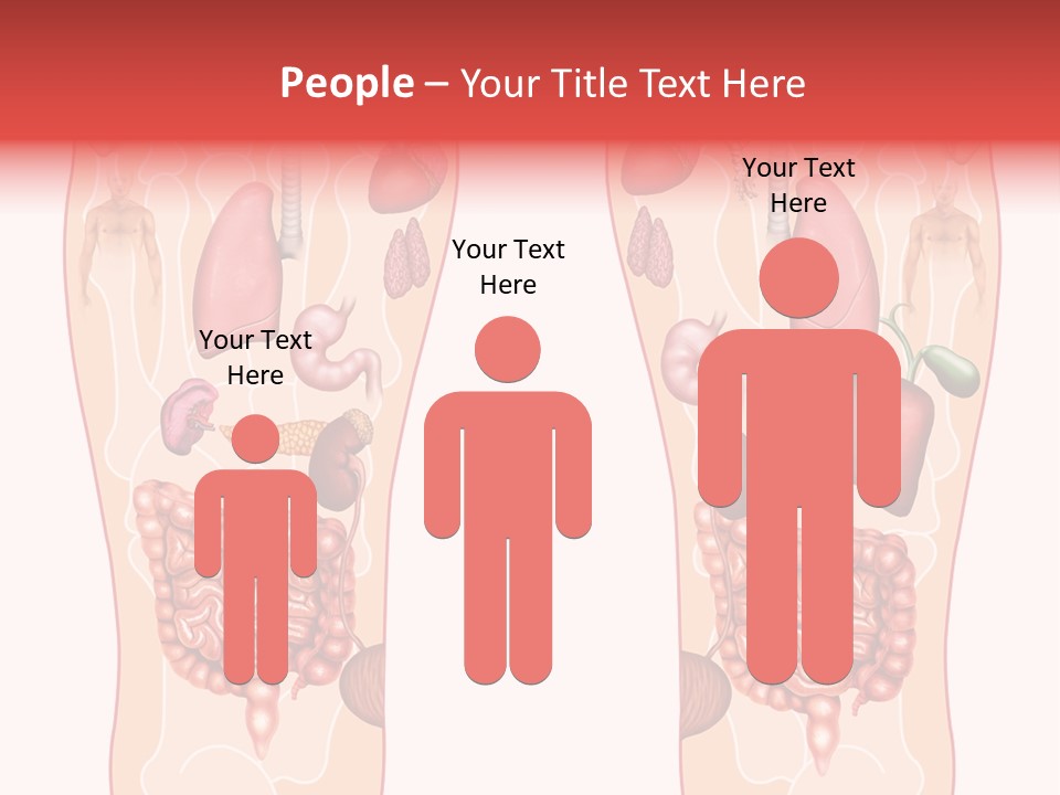 Glands Eye Intestine PowerPoint Template