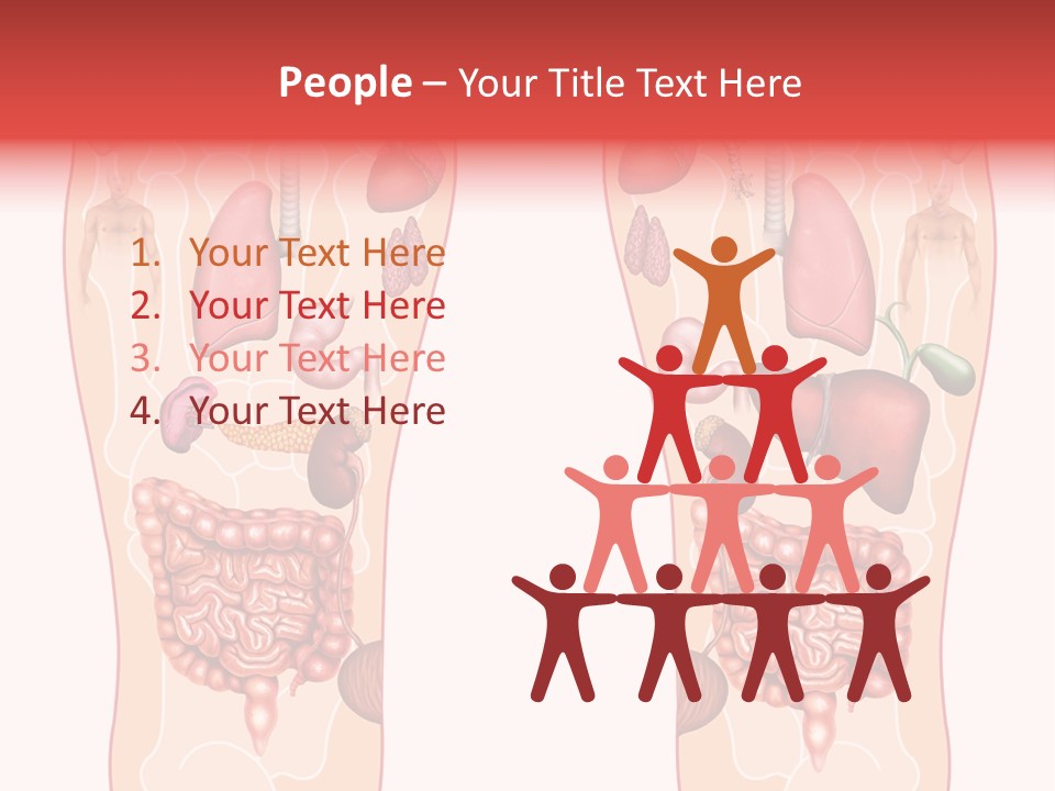 Glands Eye Intestine PowerPoint Template