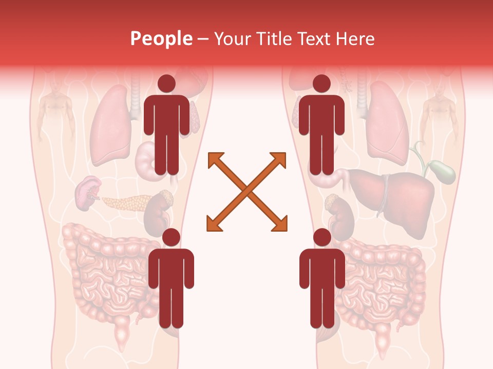 Glands Eye Intestine PowerPoint Template