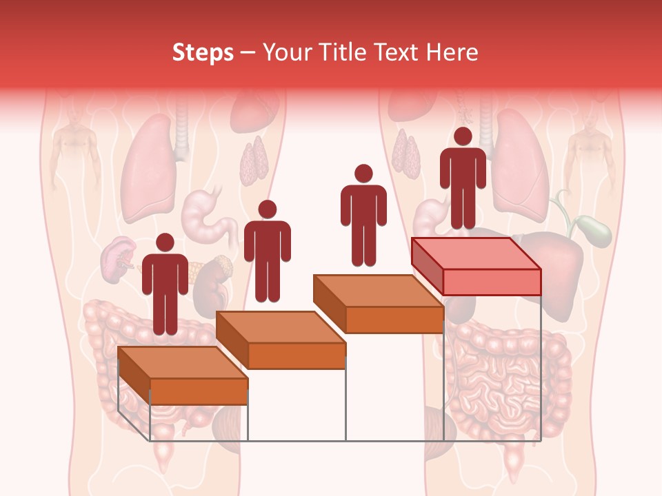 Glands Eye Intestine PowerPoint Template