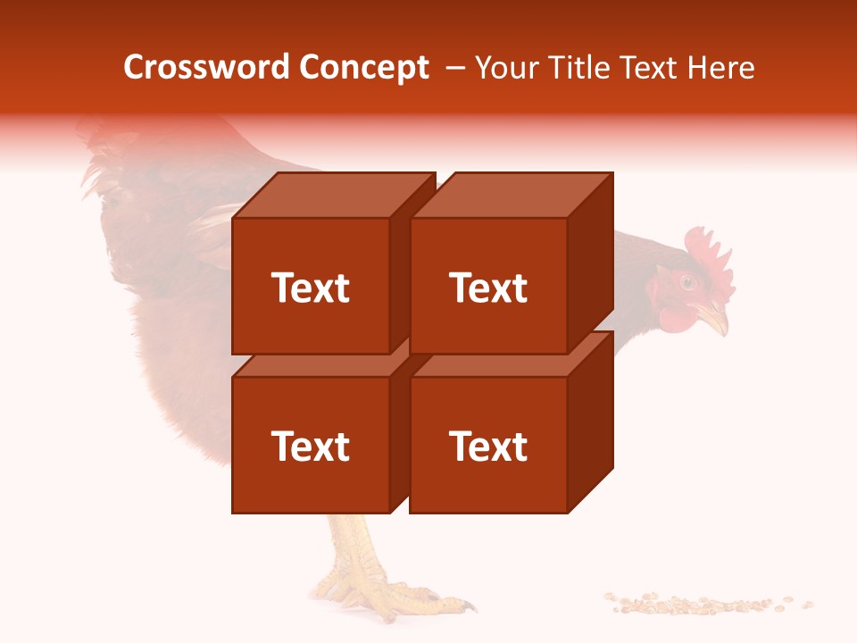 Chicken Bird Wheat PowerPoint Template