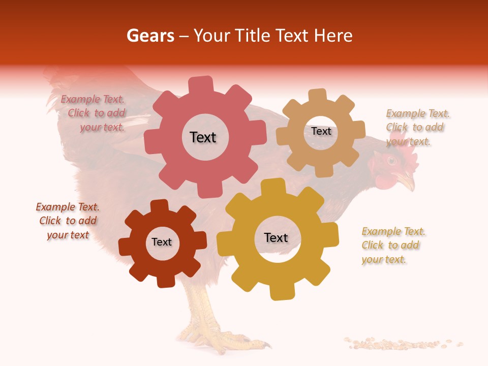 Chicken Bird Wheat PowerPoint Template