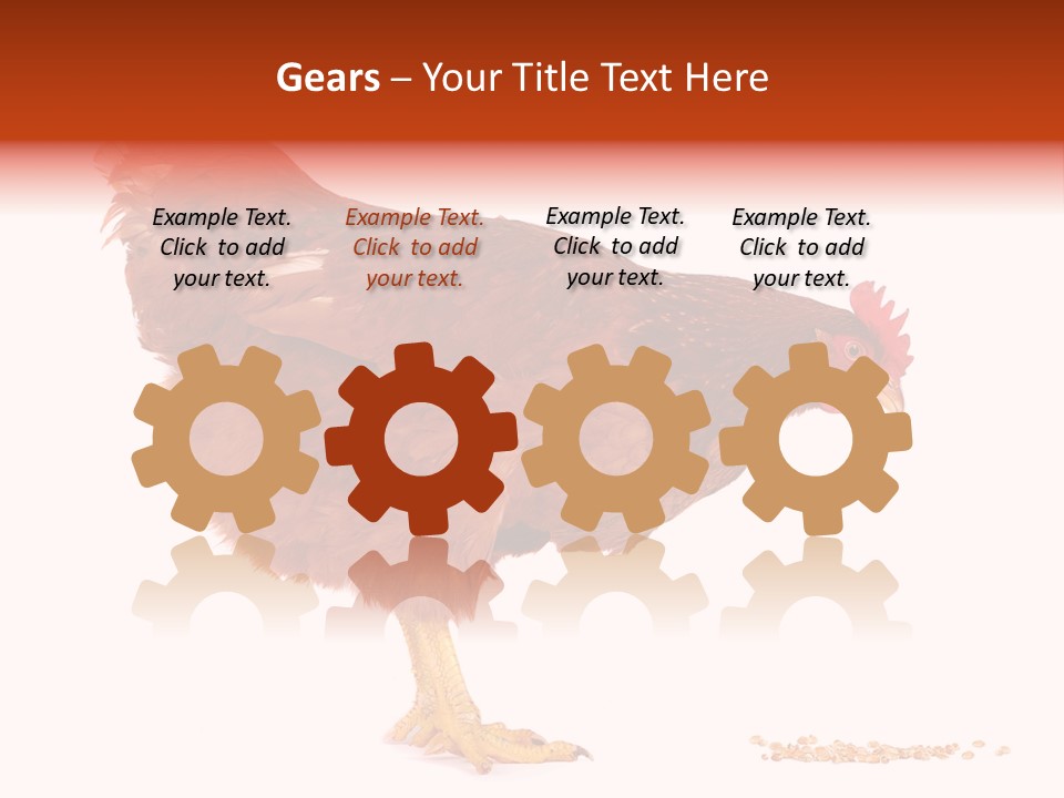 Chicken Bird Wheat PowerPoint Template