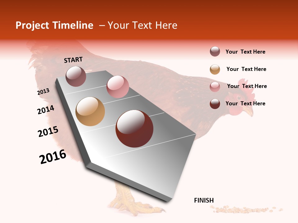 Chicken Bird Wheat PowerPoint Template