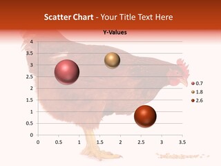 Chicken Bird Wheat PowerPoint Template