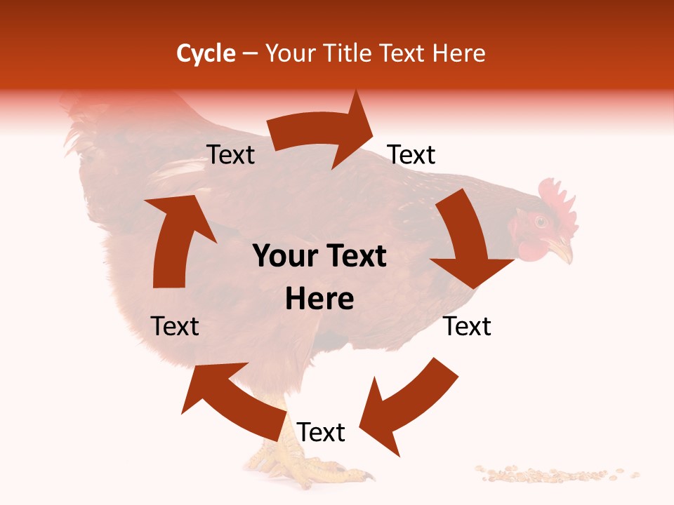 Chicken Bird Wheat PowerPoint Template