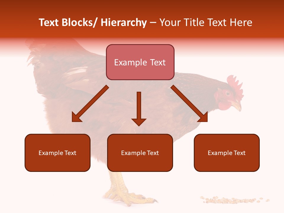 Chicken Bird Wheat PowerPoint Template