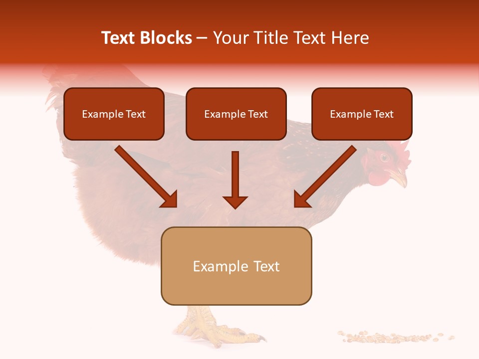 Chicken Bird Wheat PowerPoint Template