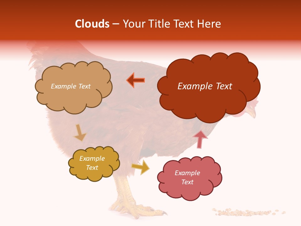 Chicken Bird Wheat PowerPoint Template