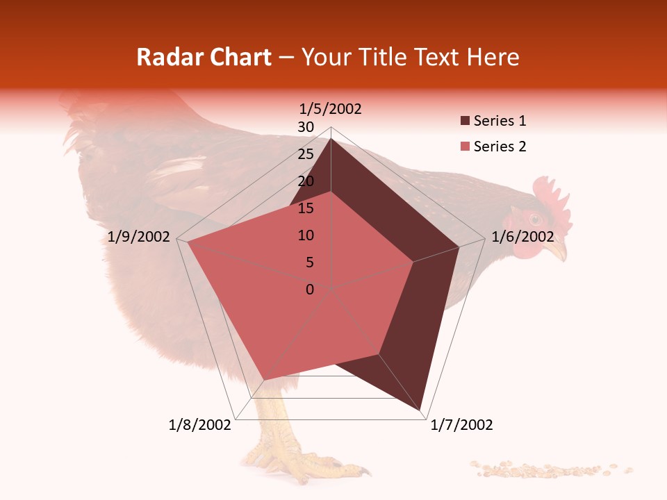 Chicken Bird Wheat PowerPoint Template