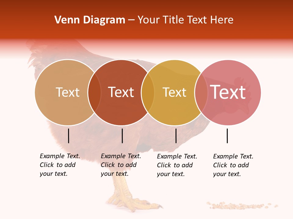 Chicken Bird Wheat PowerPoint Template