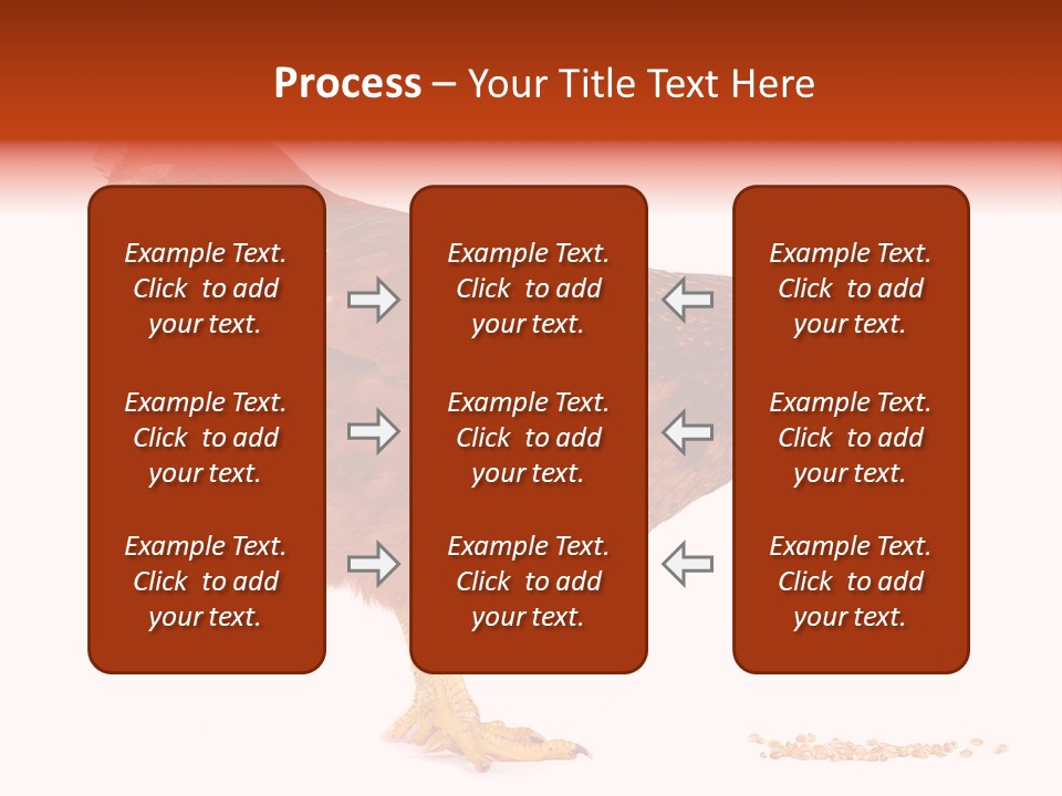 Chicken Bird Wheat PowerPoint Template